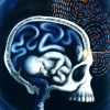 Brainchild