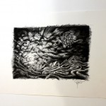 IMG_6978-x