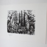 IMG_7039-x