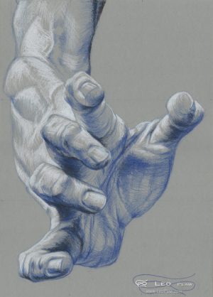 "Hand Study 14", Leo Plaw, 24 x 34cm, pencil on paper