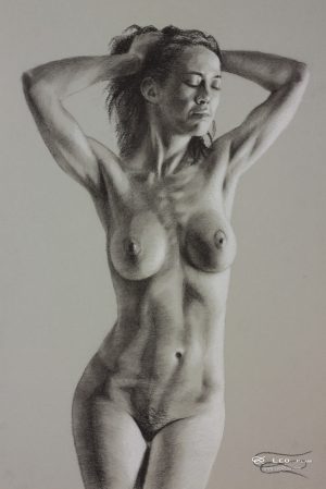 Figure 19, Leo Plaw, 24 x 34cm, pastel pencil on paper